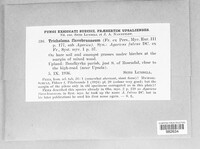 Image Associated With the Occurence